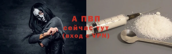 гидропоника Белокуриха