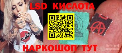 ПСИЛОЦИБИНОВЫЕ ГРИБЫ Бузулук