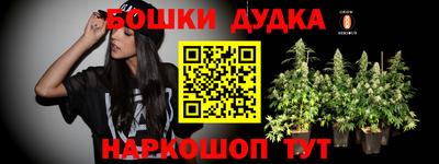 прущие грибы Азнакаево