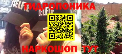 тгк Будённовск