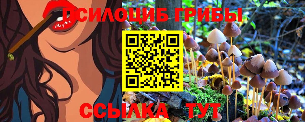 Галлюциногенные грибы Psilocybine cubensis  Вход с VPN  Гусев 