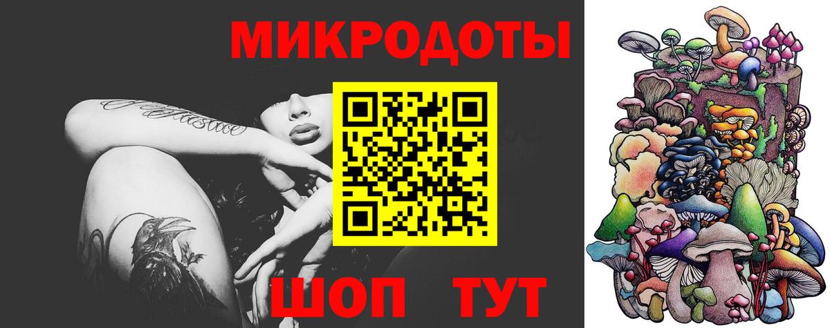 Псилоцибиновые грибы Cubensis  Гусев  Псилоцибиновые грибы ЛСД 